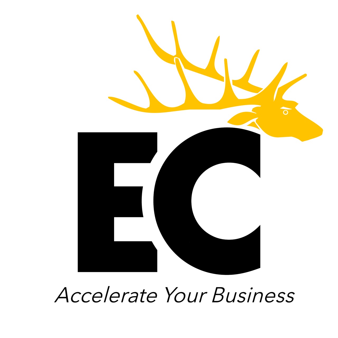 Company Logo EC Consulting PT Nusatamara Mitra Optima